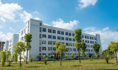 石家庄91探花在线播放国产三级探花在线观看