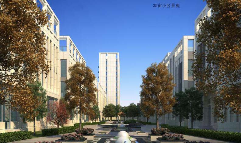 石家庄全国探花在线观看